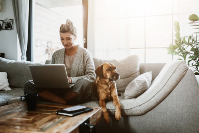 Kvinna sitter soffa med dator och hunden bredvid sig.
